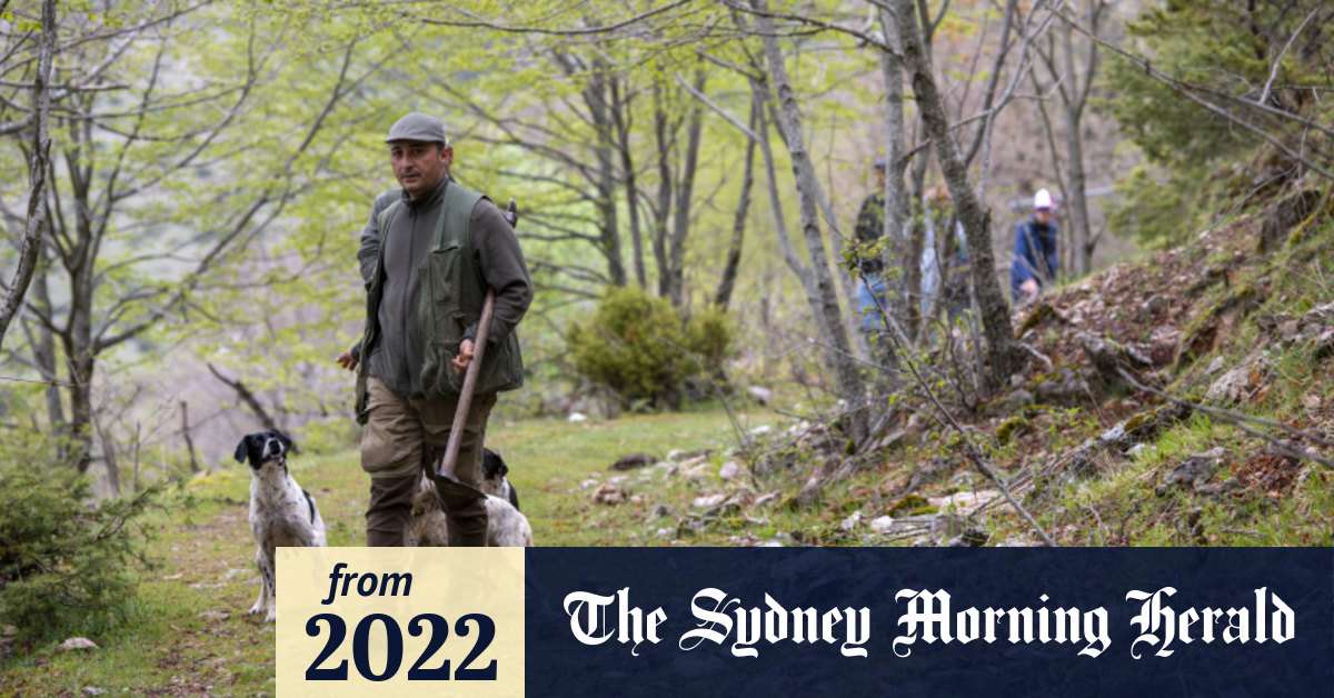 Truffle hunting in Umbria, Italy